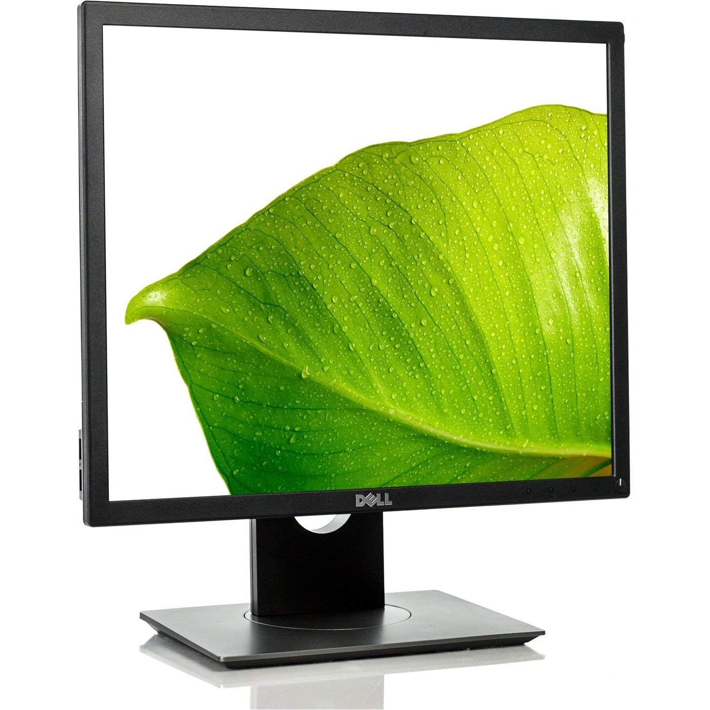 DELL 19in P1917S IPS BACKLIT LED LCD 1280X1024 5:4 SCREEN DESKTOP DISPLAY MONITOR (Renewed)